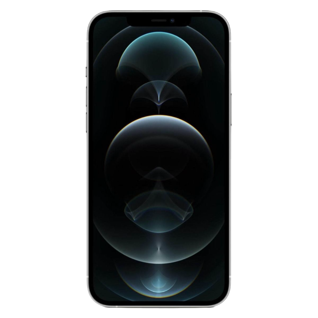 iPhone 12 Pro Max 256GB Zilver