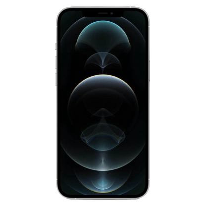 iPhone 12 Pro Max 256GB Zilver