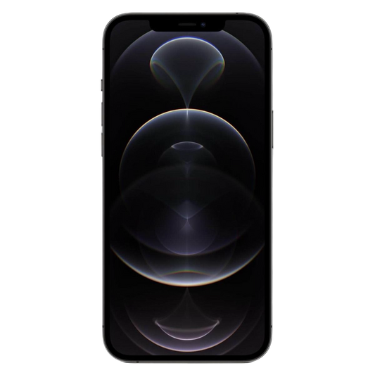 iPhone 12 Pro 256GB Zwart